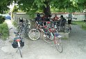 KIF_1459