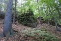 DSC08947