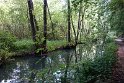 DSC08953
