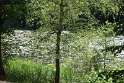 DSC09014