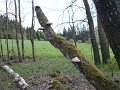 P1130505