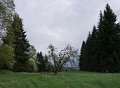 P1130530